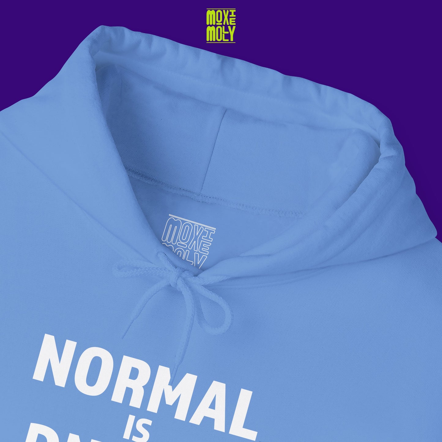 Normal is Boring Hoodie