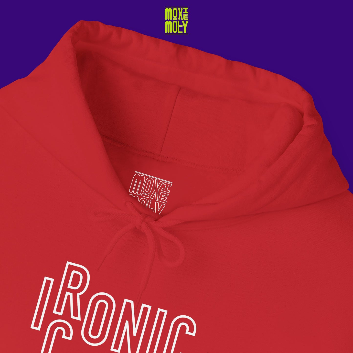 Ironic or Iconic Hoodie