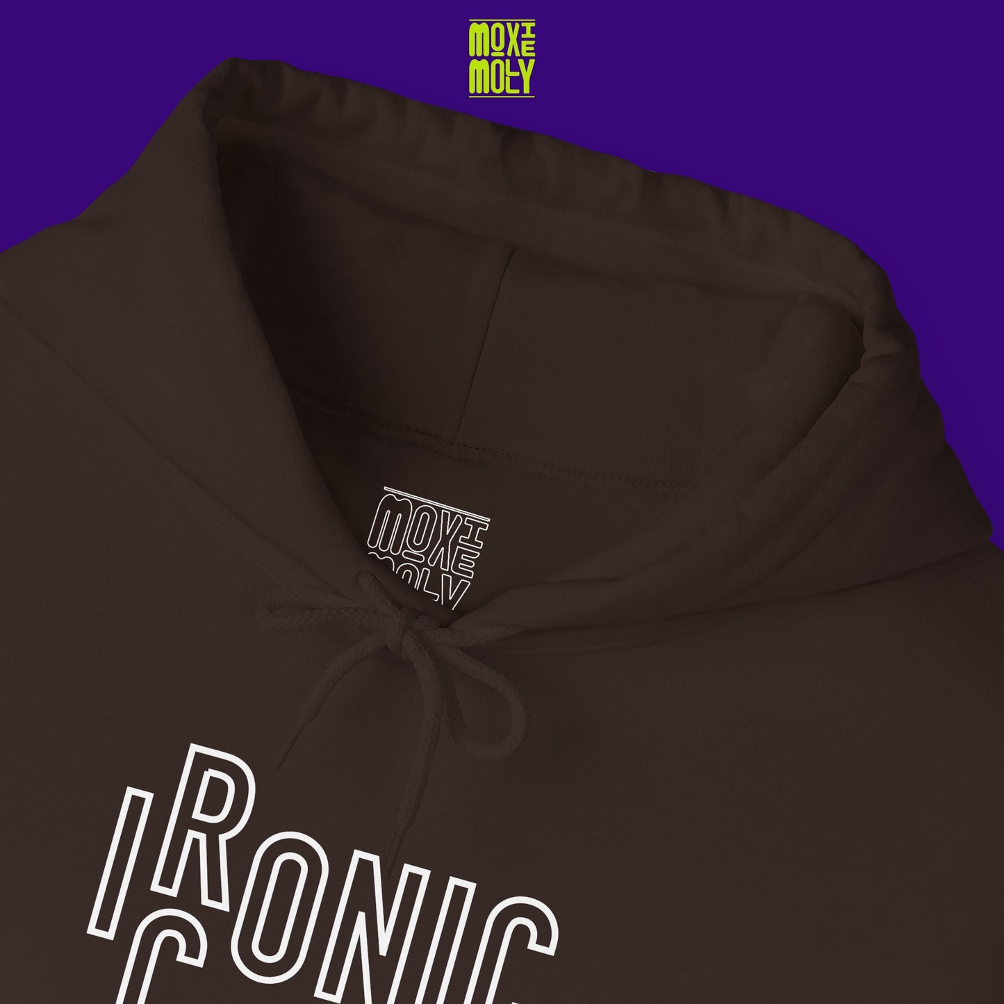 Ironic or Iconic Hoodie